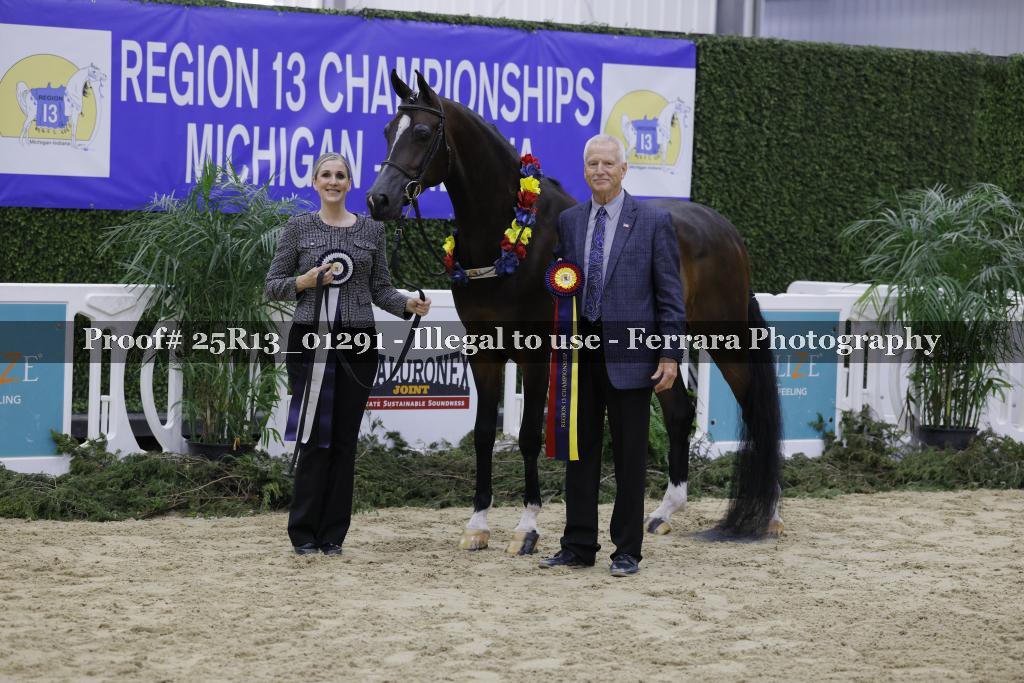 Proof 25R13_01291