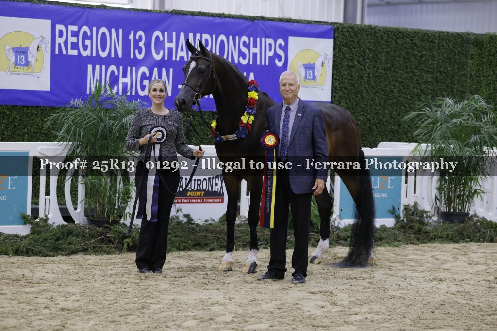Proof 25R13_01292