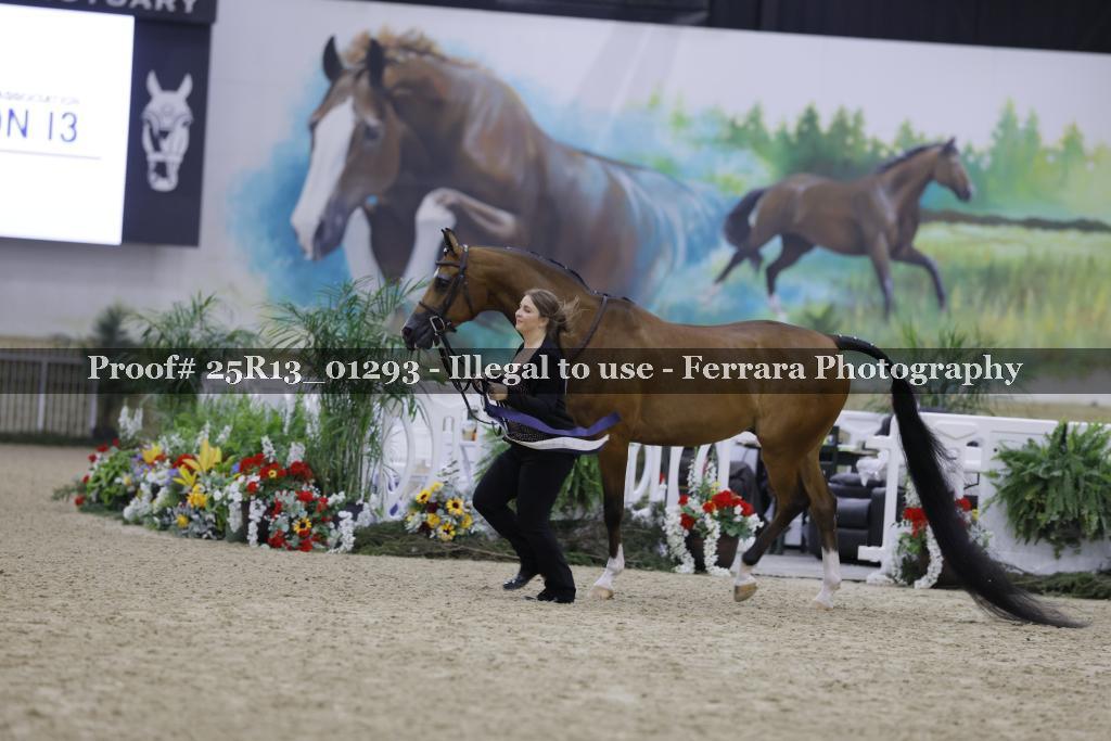 Proof 25R13_01293