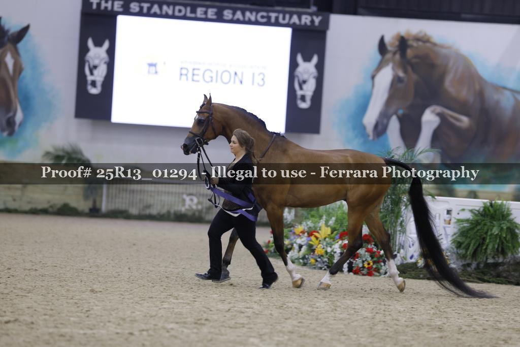Proof 25R13_01294