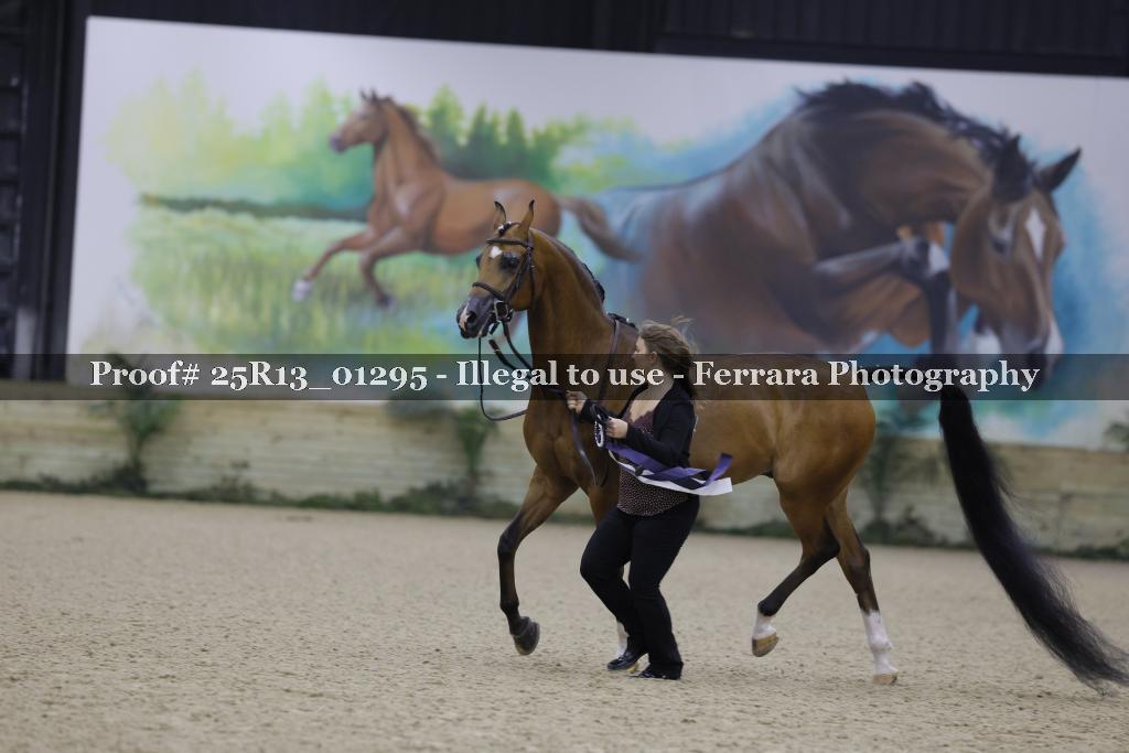 Proof 25R13_01295