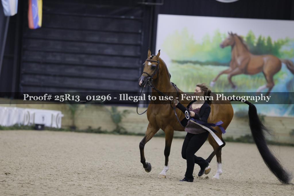 Proof 25R13_01296