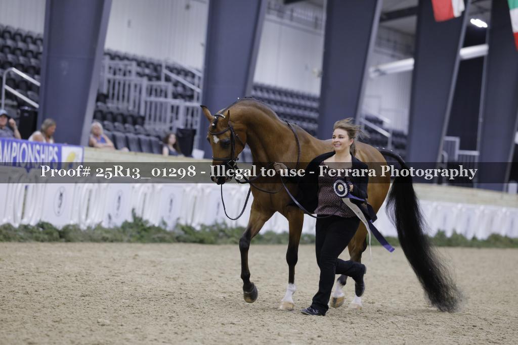 Proof 25R13_01298