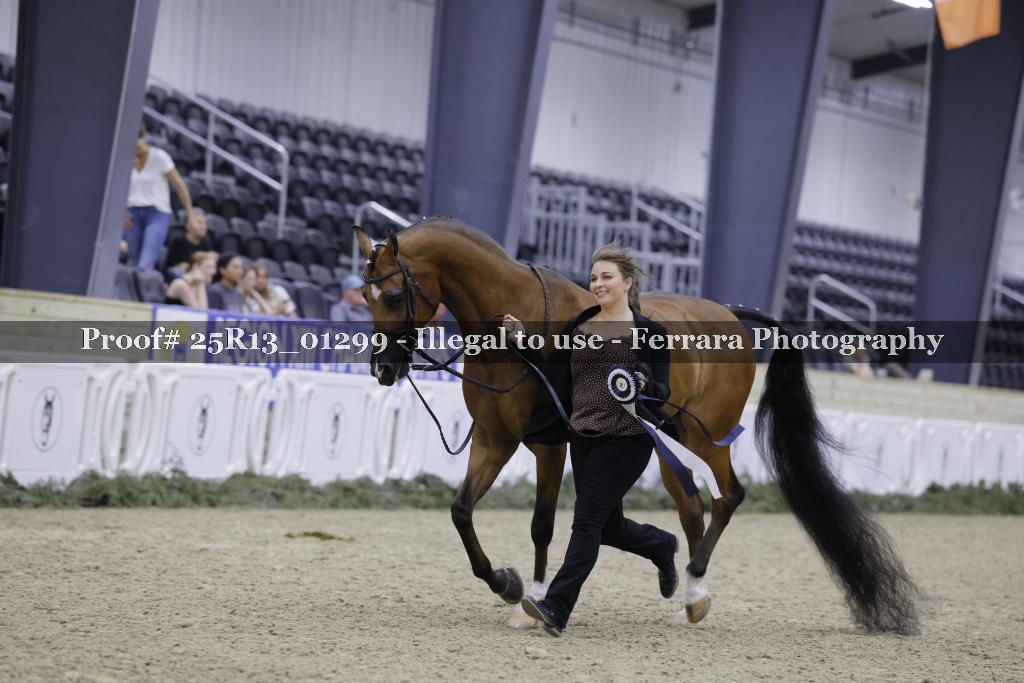 Proof 25R13_01299