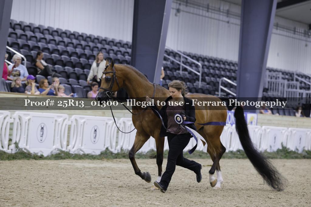 Proof 25R13_01300