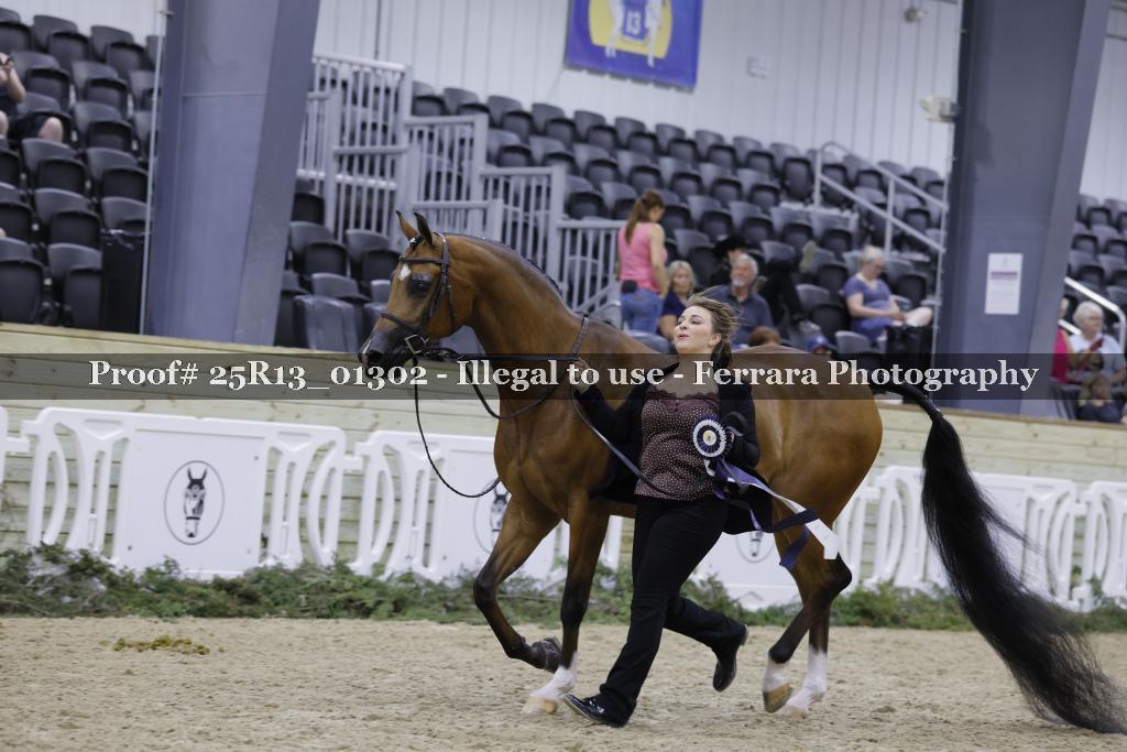 Proof 25R13_01302