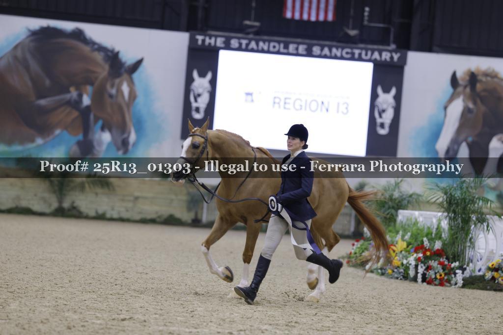 Proof 25R13_01303