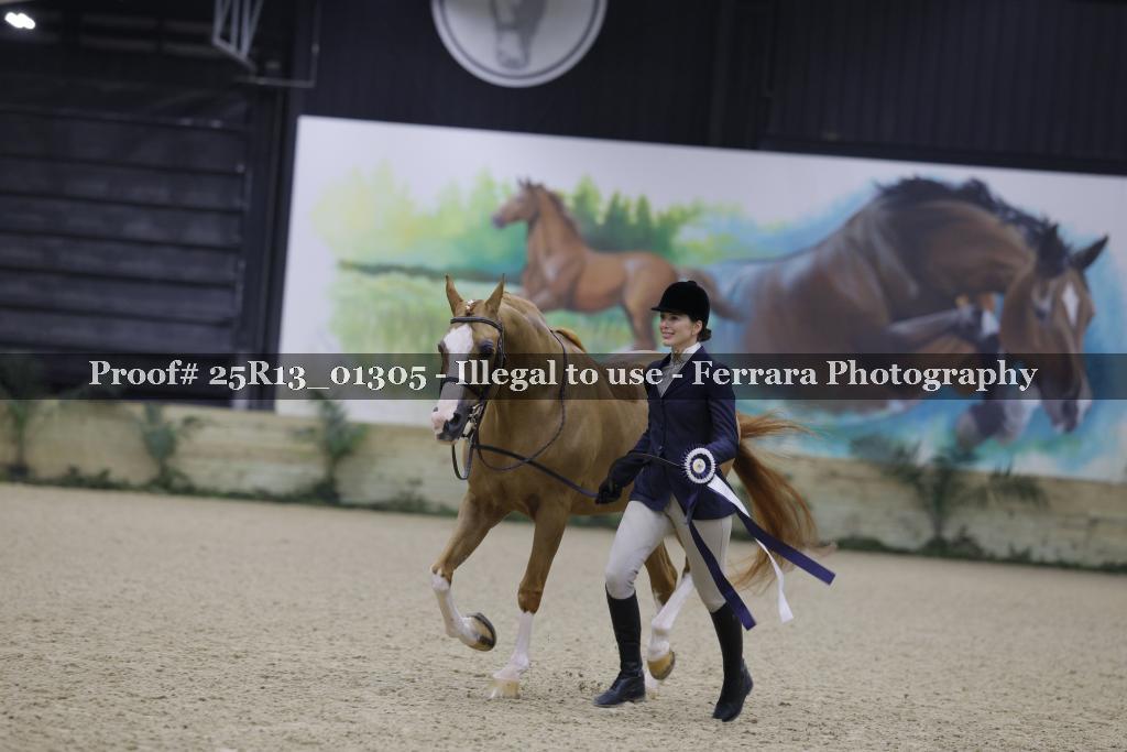 Proof 25R13_01305