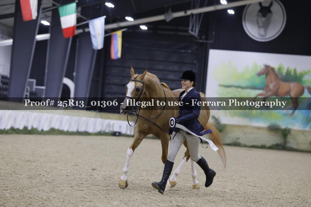Proof 25R13_01306
