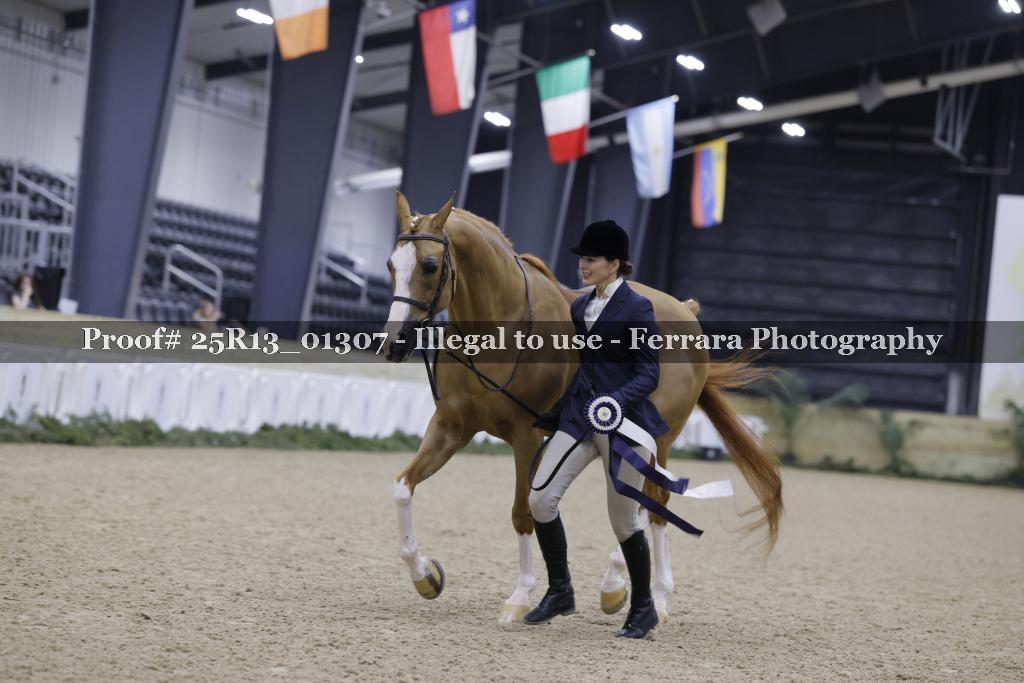 Proof 25R13_01307