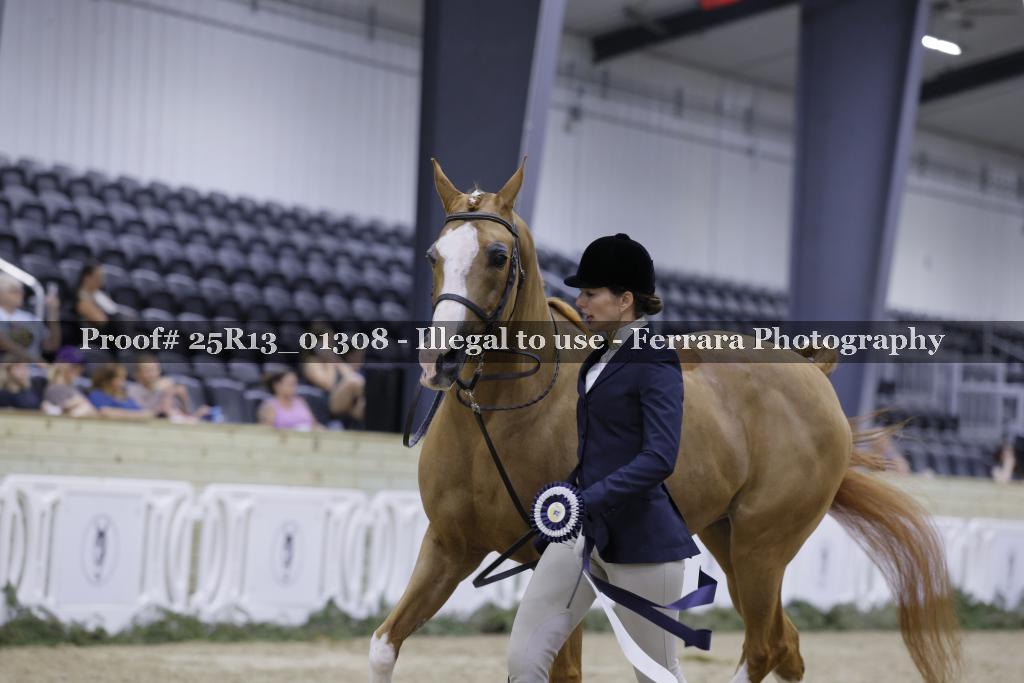 Proof 25R13_01308