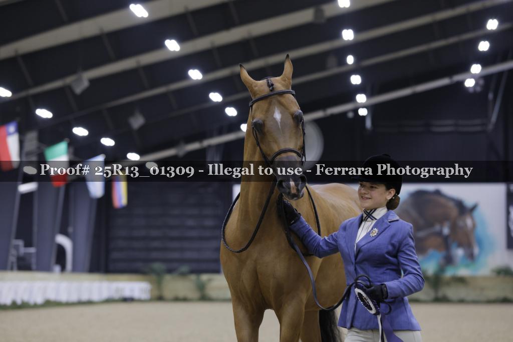 Proof 25R13_01309