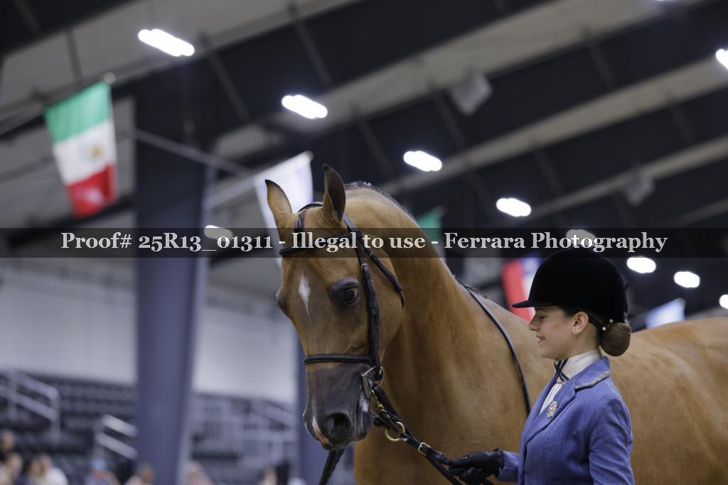 Proof 25R13_01311