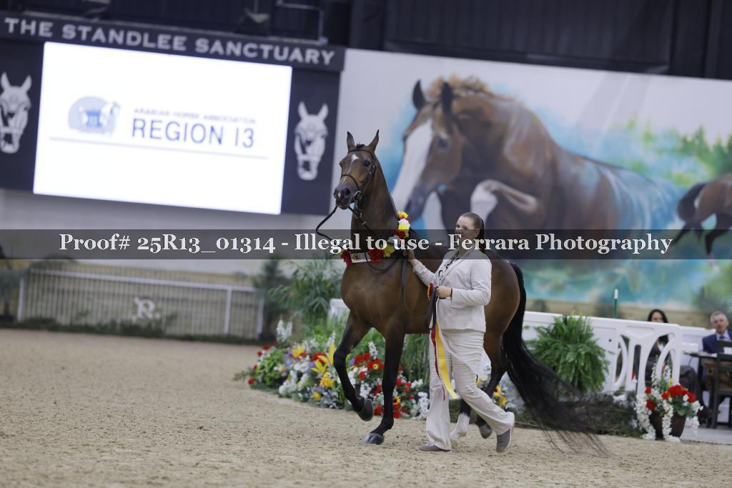 Proof 25R13_01314
