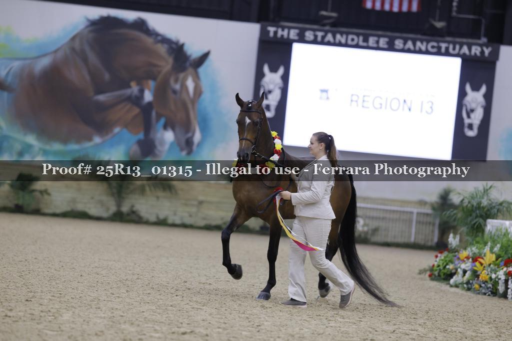 Proof 25R13_01315