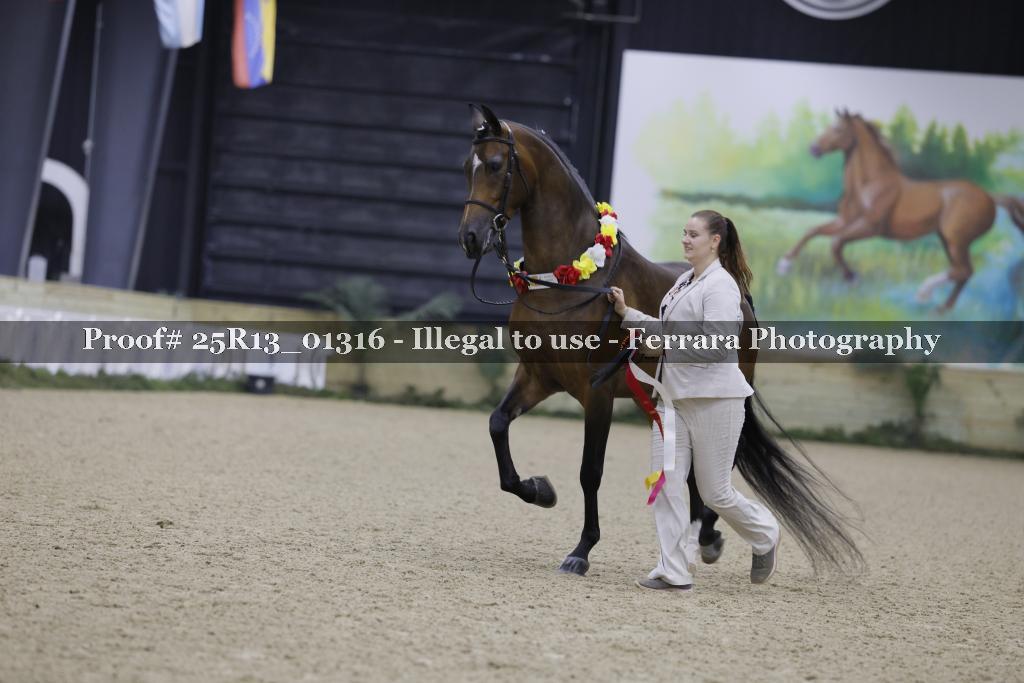 Proof 25R13_01316