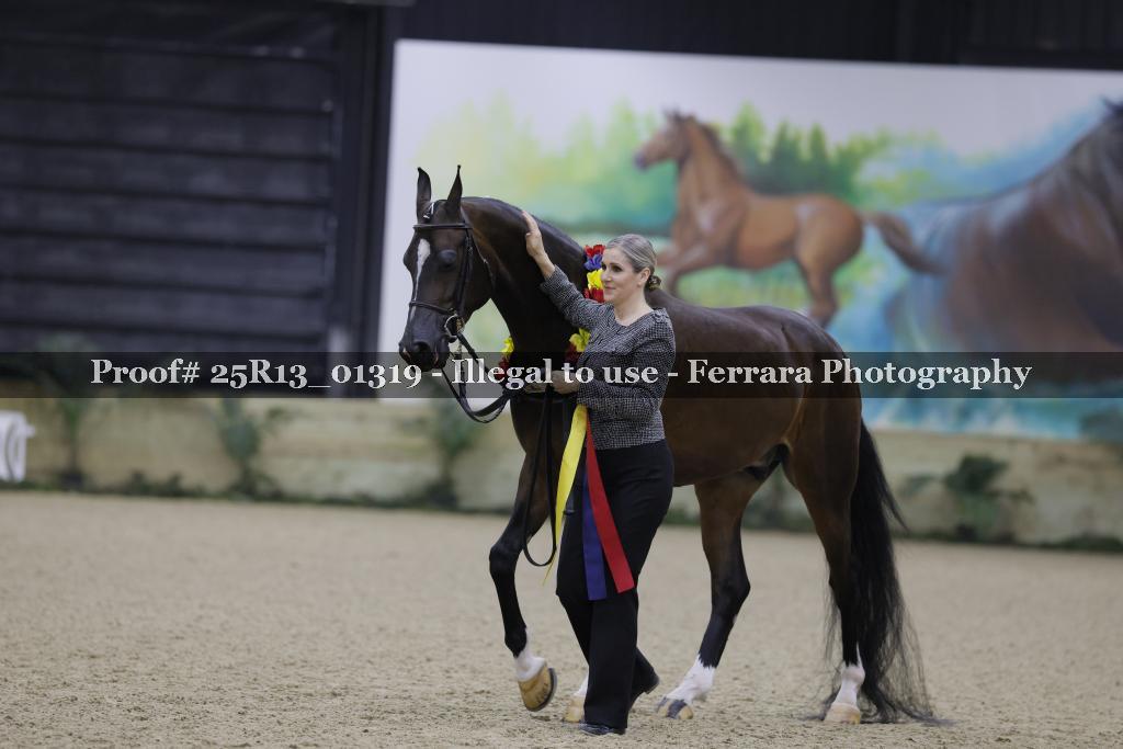 Proof 25R13_01319