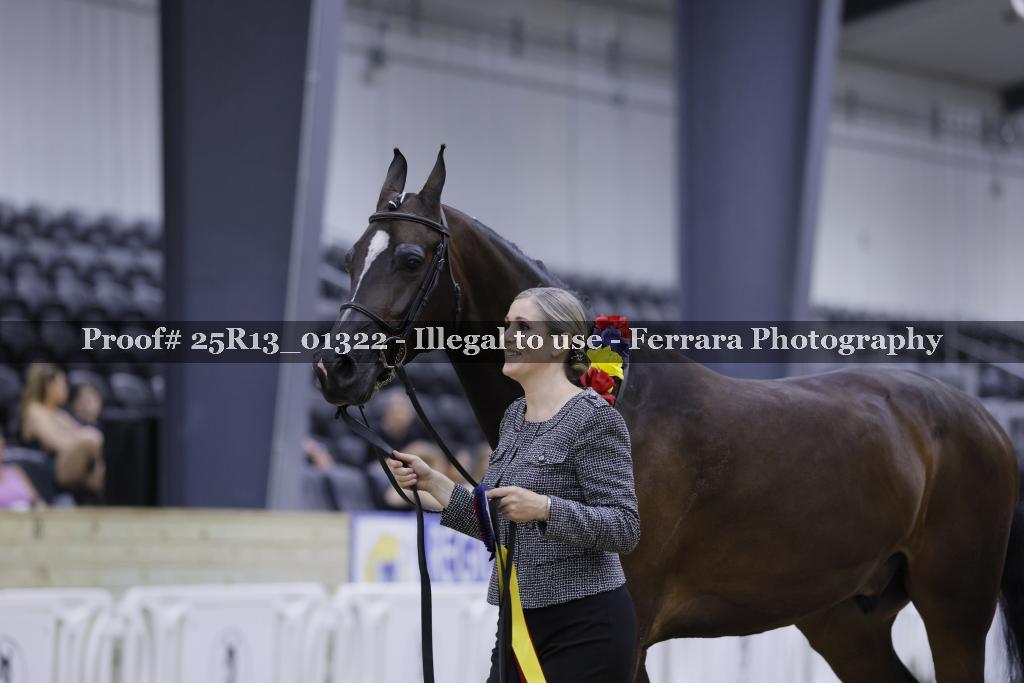 Proof 25R13_01322