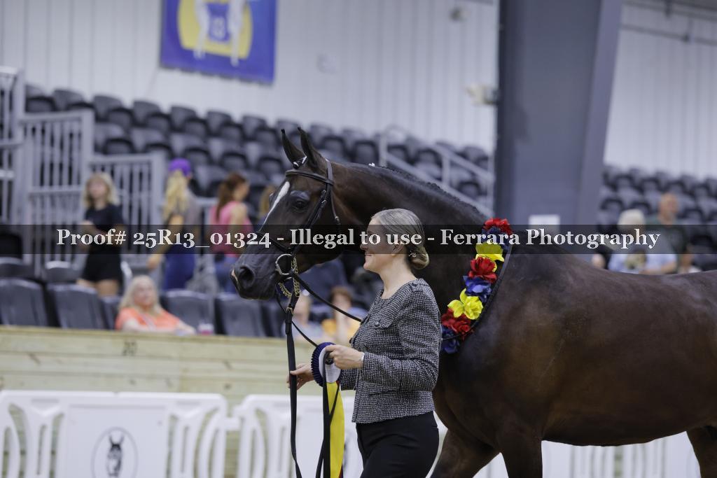 Proof 25R13_01324