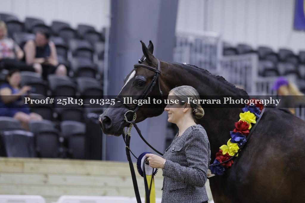 Proof 25R13_01325