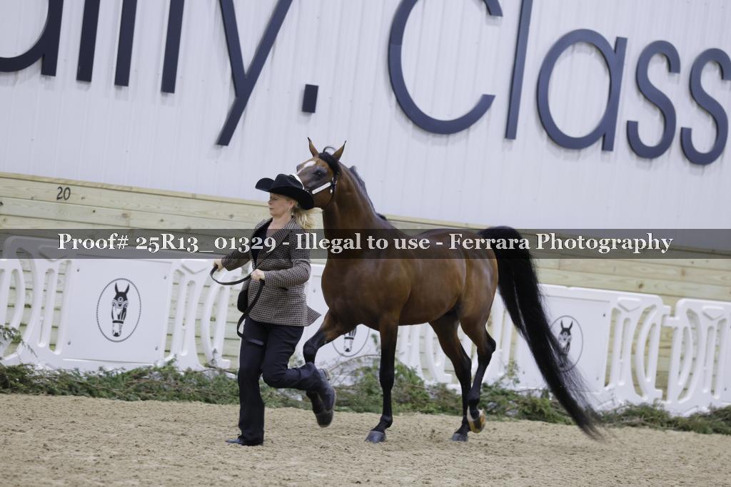Proof 25R13_01329