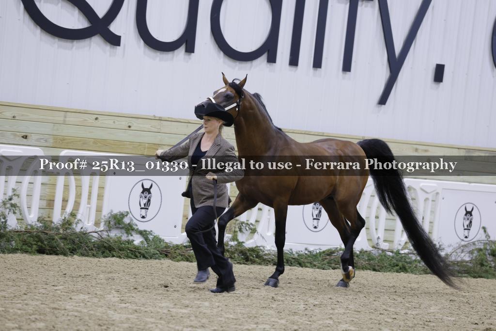 Proof 25R13_01330