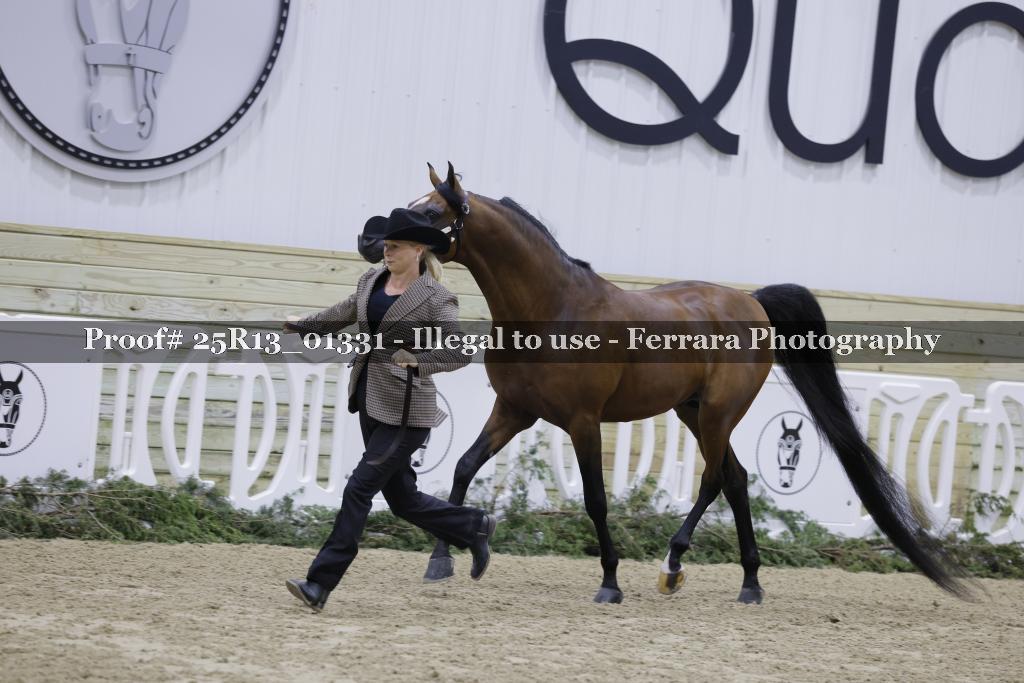 Proof 25R13_01331