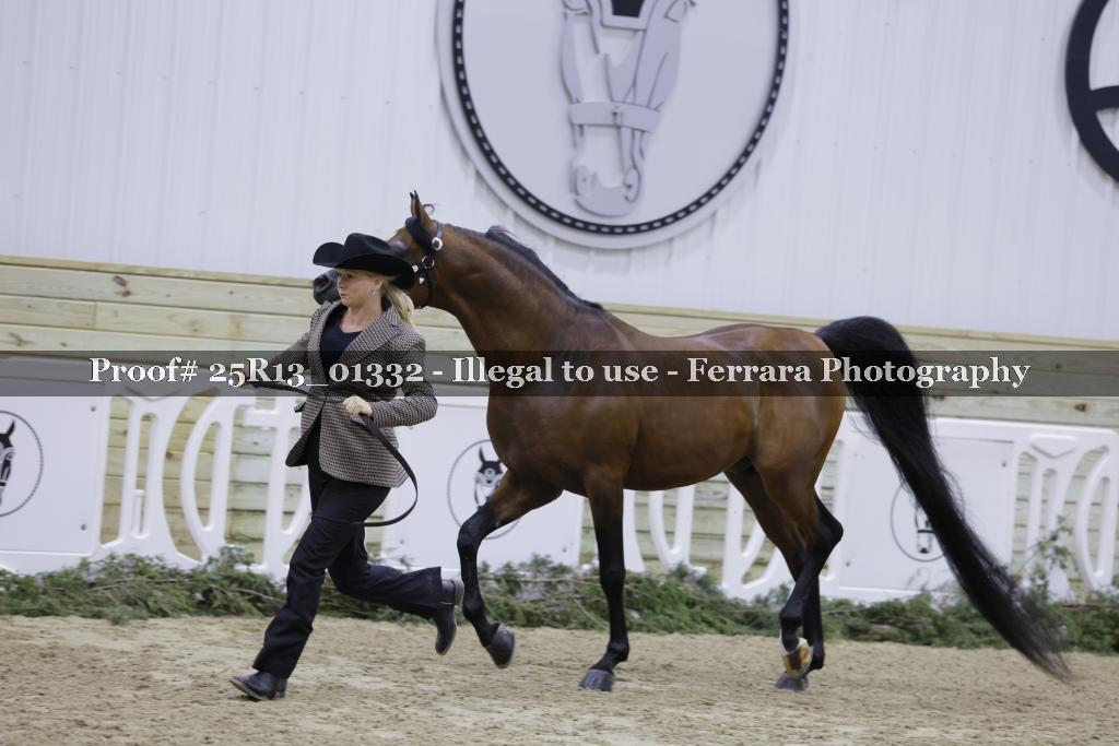 Proof 25R13_01332
