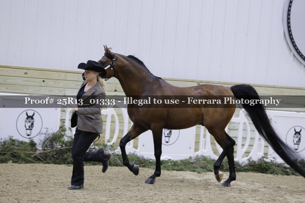 Proof 25R13_01333