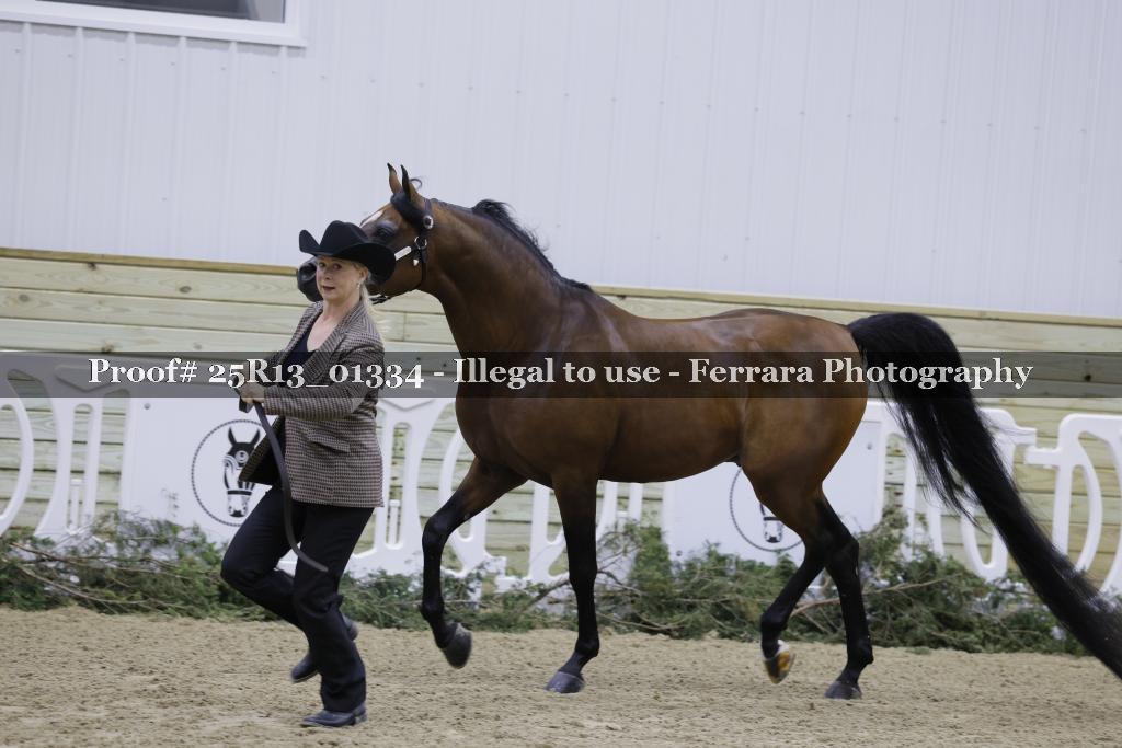 Proof 25R13_01334