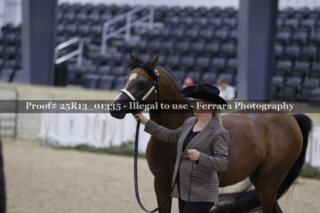 Proof 25R13_01335