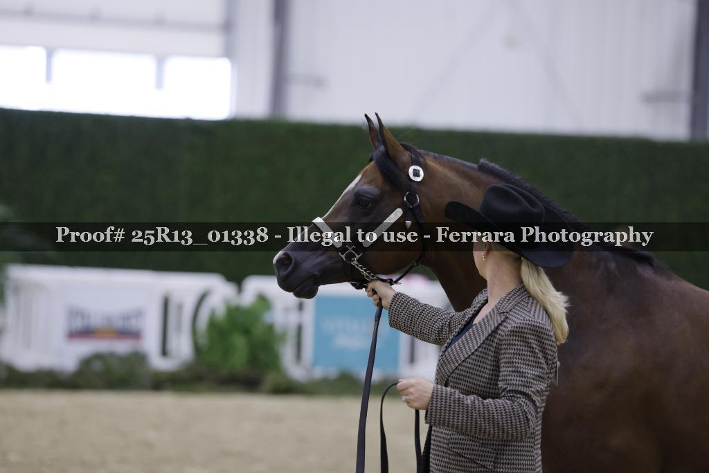 Proof 25R13_01338