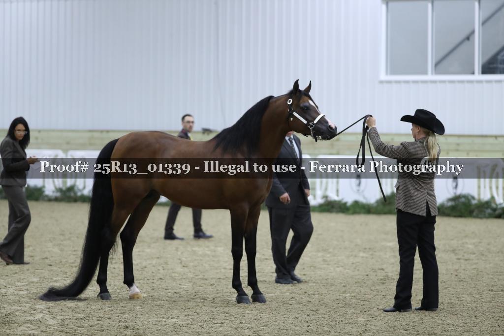 Proof 25R13_01339