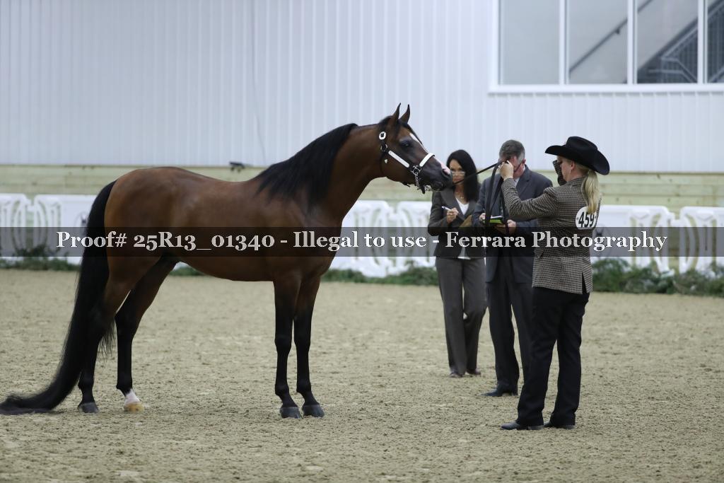 Proof 25R13_01340