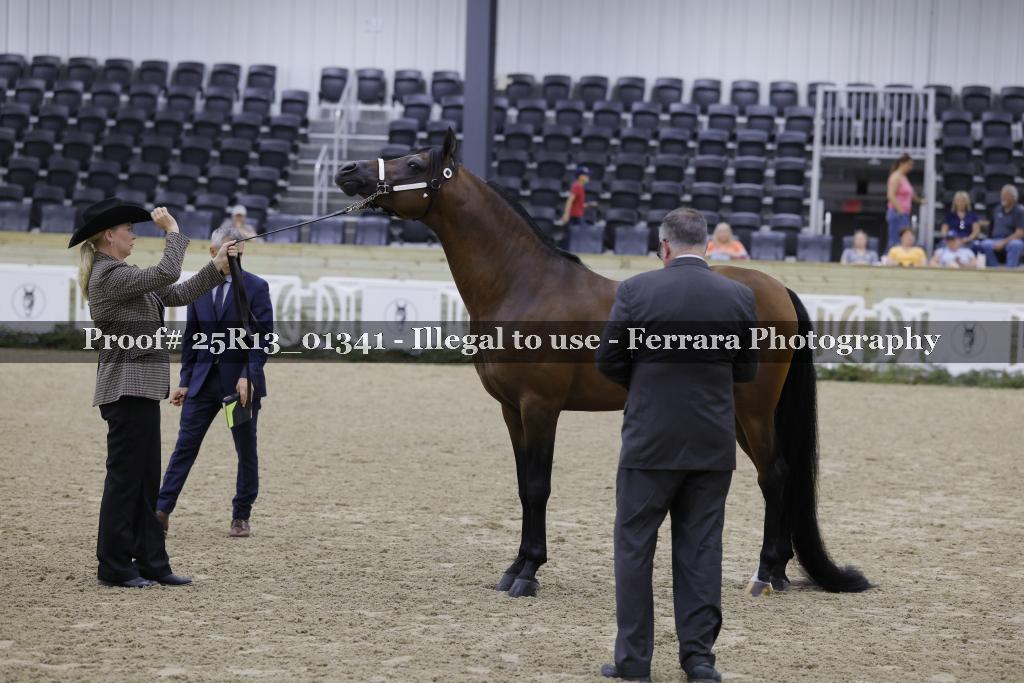 Proof 25R13_01341