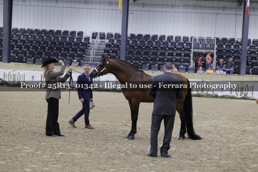 Proof 25R13_01342