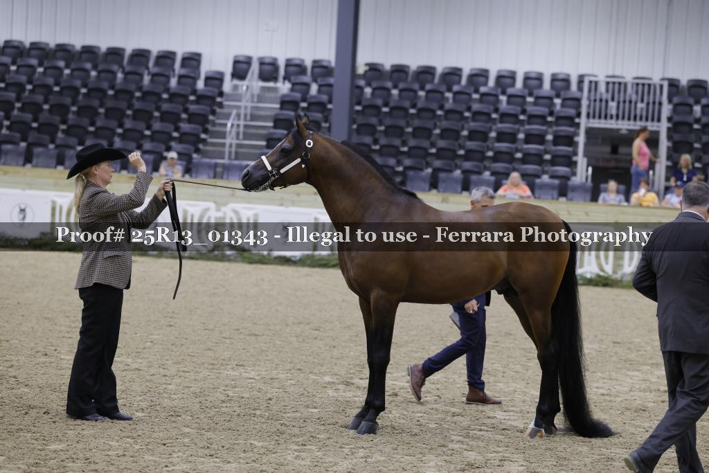 Proof 25R13_01343