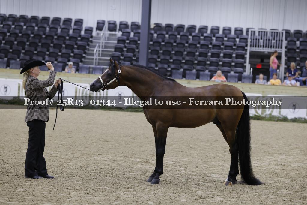 Proof 25R13_01344