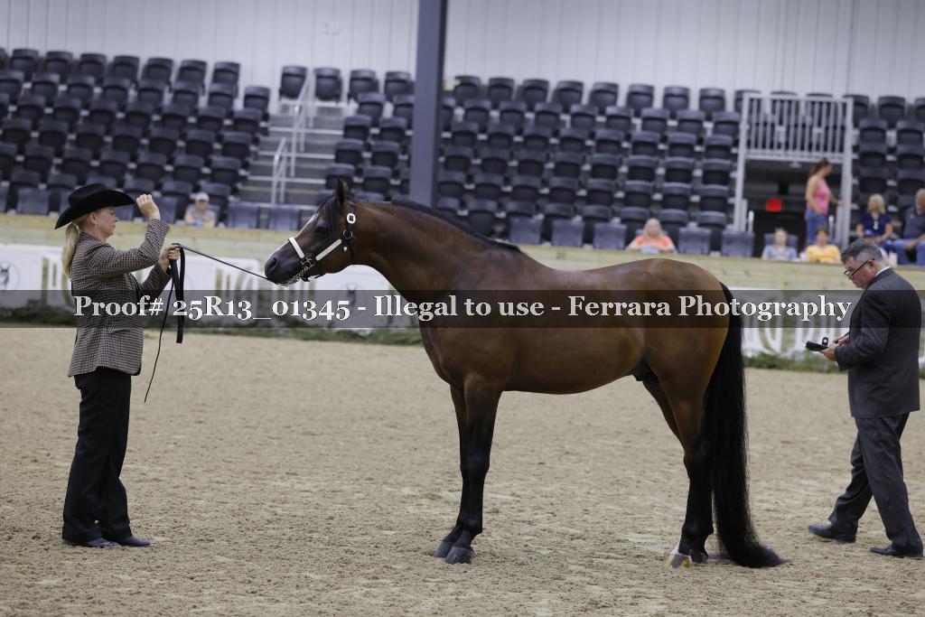 Proof 25R13_01345