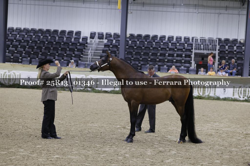 Proof 25R13_01346