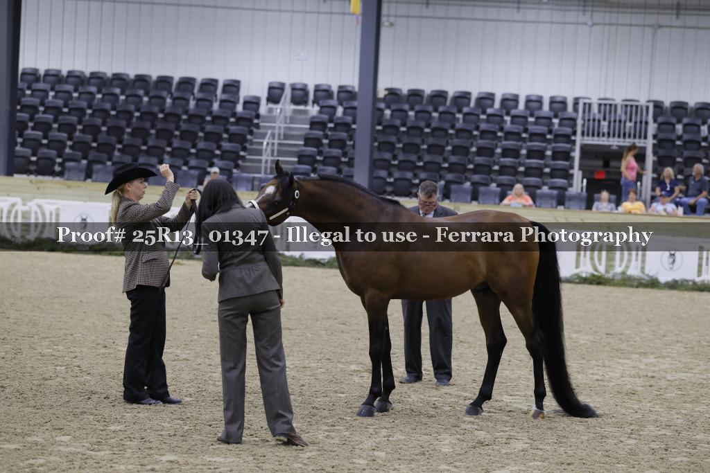 Proof 25R13_01347