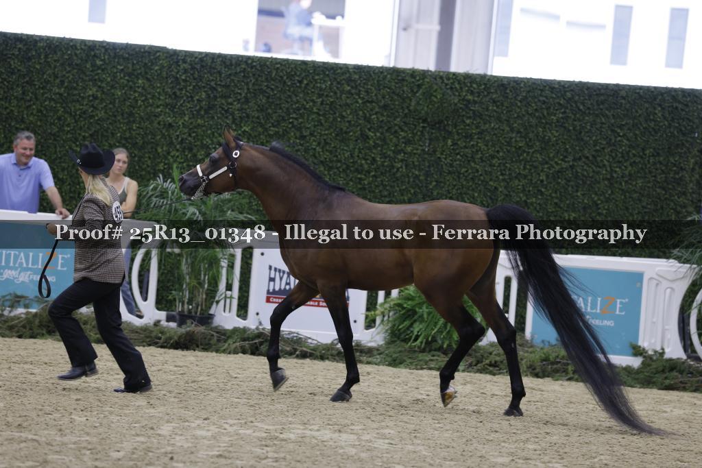 Proof 25R13_01348