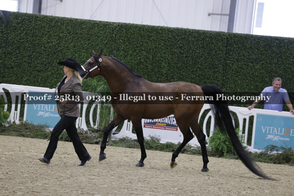 Proof 25R13_01349