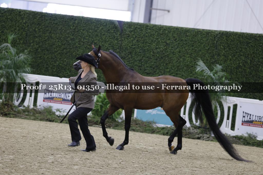 Proof 25R13_01350