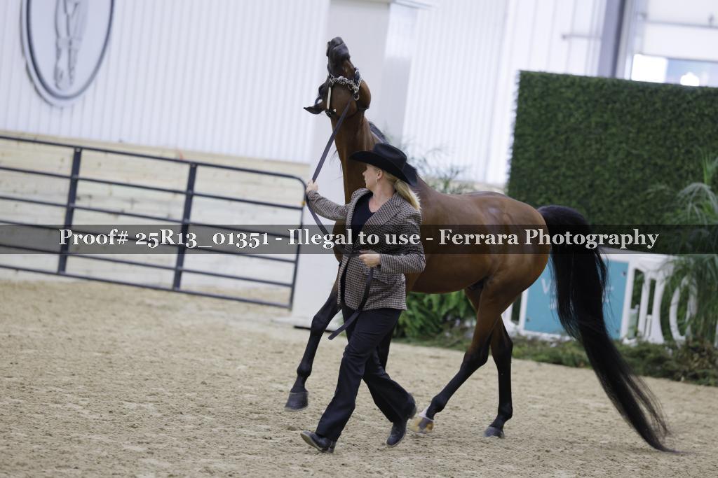 Proof 25R13_01351