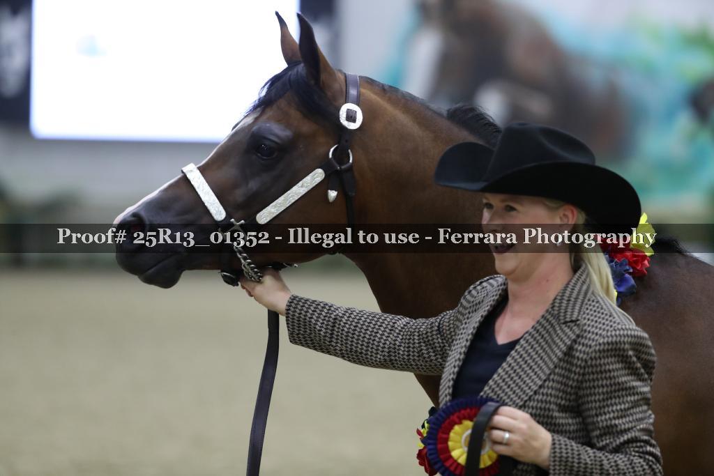 Proof 25R13_01352