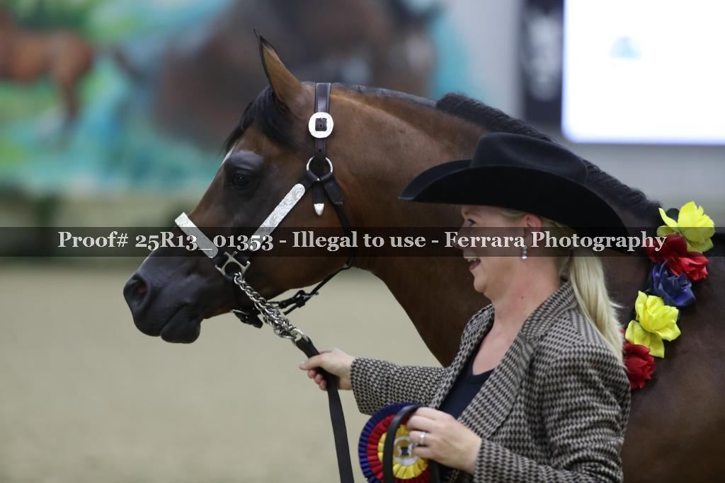 Proof 25R13_01353