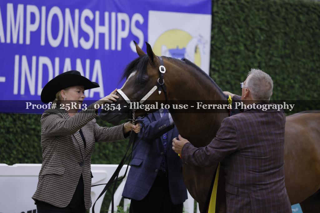 Proof 25R13_01354