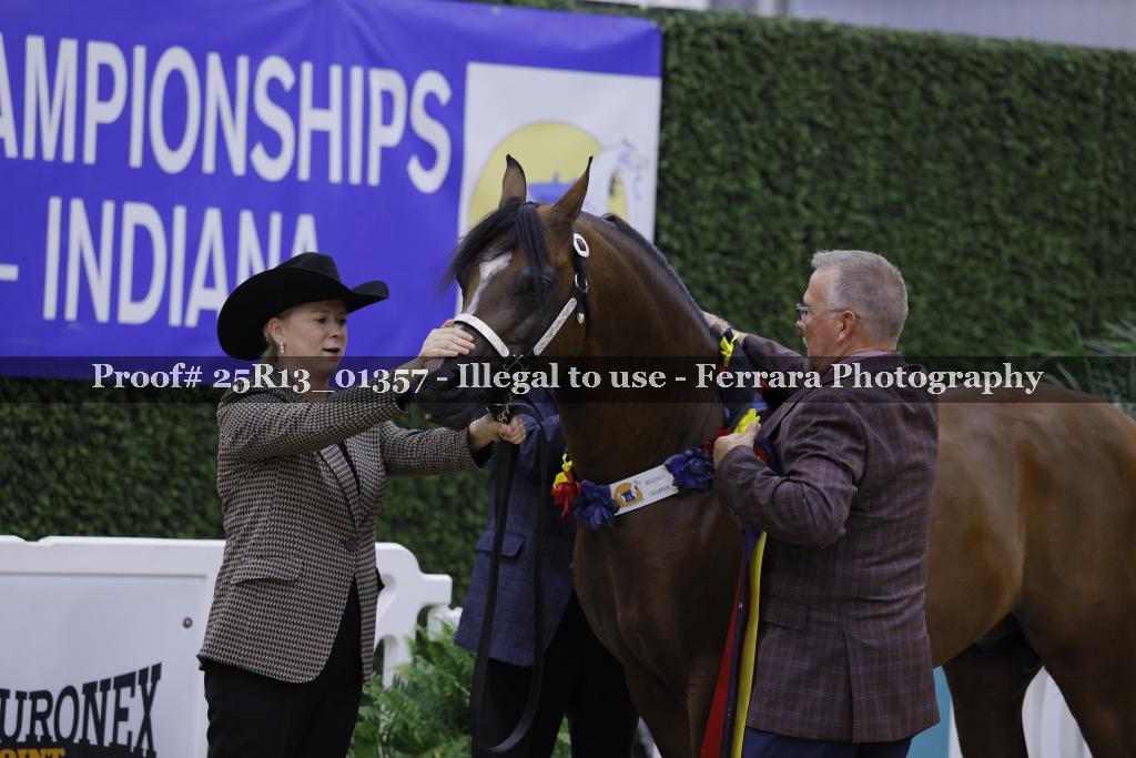 Proof 25R13_01357