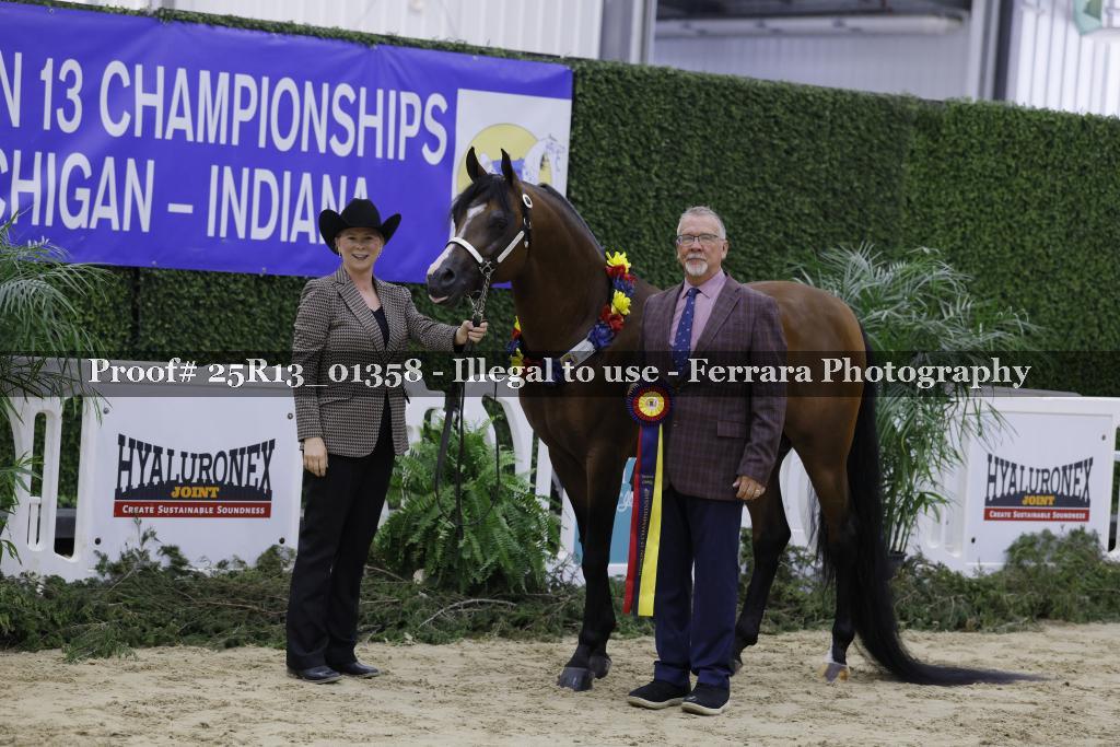 Proof 25R13_01358